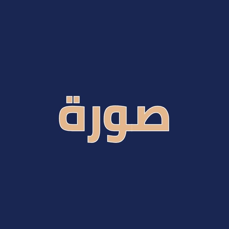 استشارات خاصة بتحسين البيئة الاجتماعية في المؤسسة